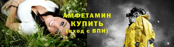 дмт Гусев