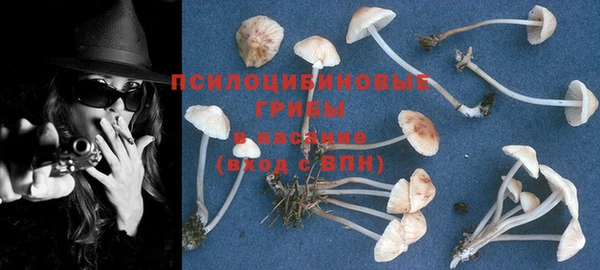 сатива Гусь-Хрустальный