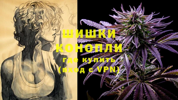 Альфа ПВП Гусев
