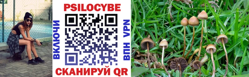дарнет шоп  Усинск  Галлюциногенные грибы MAGIC MUSHROOMS 
