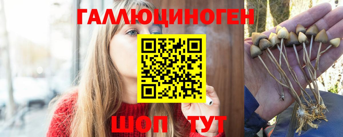 Усинск  Псилоцибиновые грибы Psilocybe  купить   Вход с VPN  Галлюциногенные грибы ЛСД 